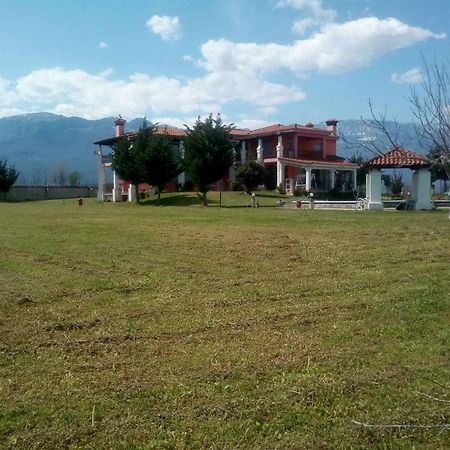 Vila Αρχοντικό Παπανικολάου Ligaria  Exteriér fotografie