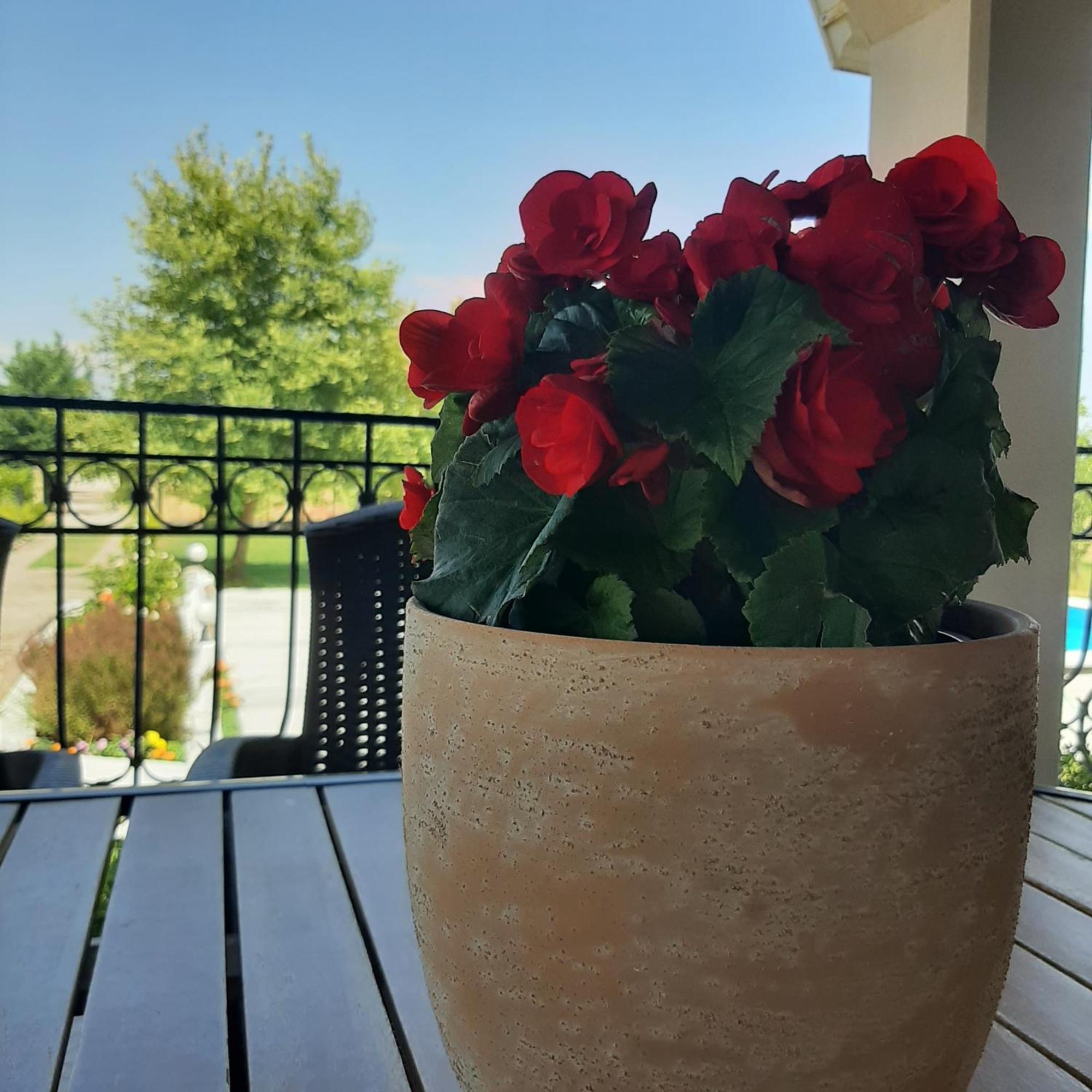 Vila Αρχοντικό Παπανικολάου Ligaria  Exteriér fotografie